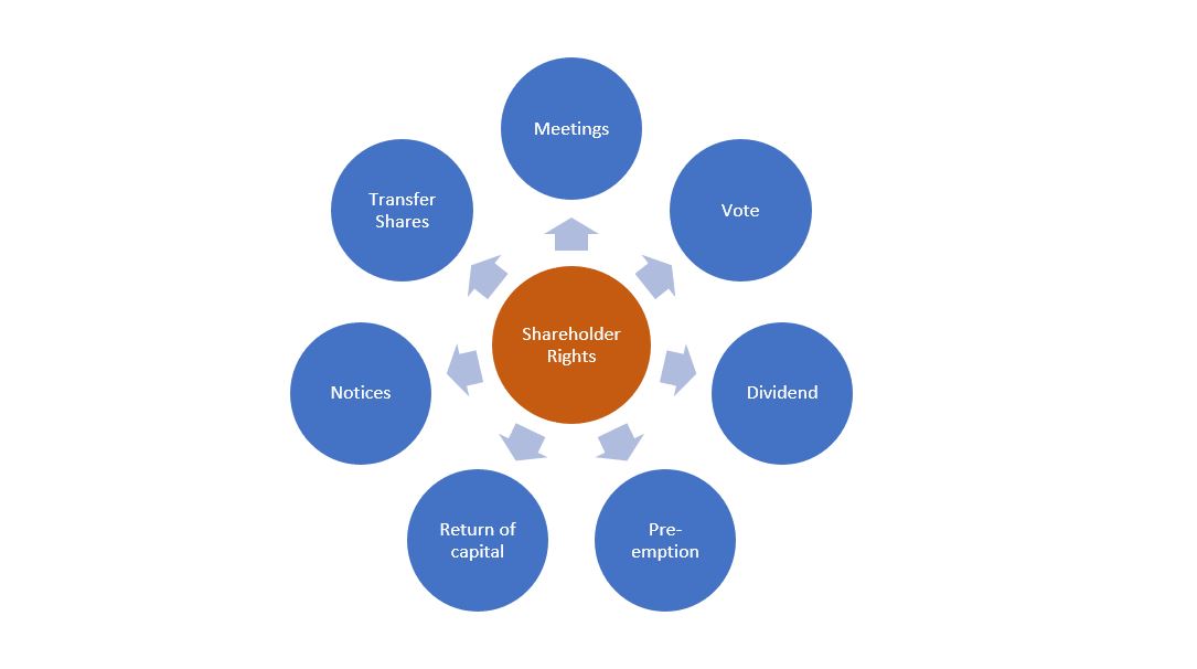 What are the rights of a shareholder in a private limited company ...